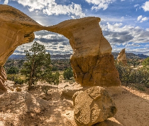 Łuk skalny, Devils Garden, Skały, Drzewa, Stan Utah, Metate Arch, Stany Zjednoczone, Park Narodowy Arches