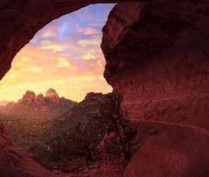 Stany Zjednoczone, Arizona, Góry, Skały, Krzew, Sedona