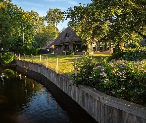 Rzeka, Kwiaty, Prowincja Overijssel, Dom, Drzewa, Holandia, Giethoorn