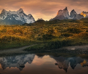 Jesień, Rzeka, Patagonia, Roślinność, Torres del Paine, Chile, Góry