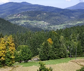 Beskidy, Domy, Osada, Drzewa, Góry