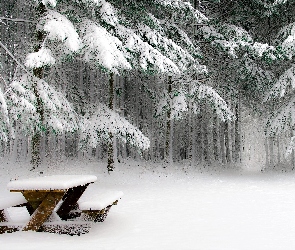 Las, Drzewa, Ławka piknikowa, Śnieg, Zima