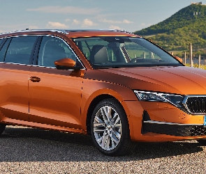 Bok, Przód, Skoda Octavia, Combi