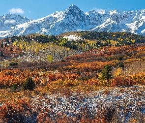 Jesień, Kolorado, Przełęcz Dallas Divide, Stany Zjednoczone, Ośnieżone, Mount Ridgway, Lasy, Drzewa, Góry, Śnieg