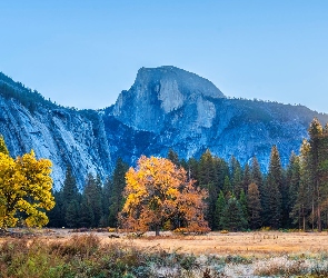 Góry, Jesień, Park Narodowy Yosemite, Drzewa, Kalifornia, Las, Stany Zjednoczone, Promienie słońca