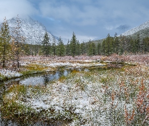 Kołymskie, Drzewa, Góry, Jacka Londona, Magadan, Jezioro, Rosja, Zima