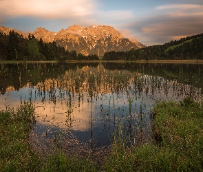 Trawa, Odbicie, Las, Niebo, Jezioro, Góry, Drzewa