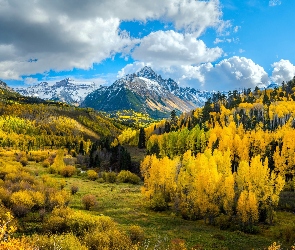 Stany Zjednoczone, Jesień, Lasy, Chmury, Drzewa, Góry Skaliste, Kolorado, Szczyt, Mount Sneffels