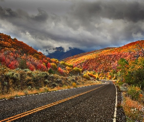 Chmury, Las, Stany Zjednoczone, Góra, Kolorowe, Jesień, Utah, Drzewa, Nebo, Droga, Loop Road