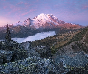 Mount Rainier, Drzewa, Góra, Las, Stan Waszyngton, Park Narodowy Mount Rainier, Stany Zjednoczone, Mgła