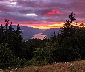 Góry, Stan Waszyngton, Chmury, Stany Zjednoczone, Zachód słońca, Rzeka Kolumbia, Columbia River Gorge, Drzewa, Góry Kaskadowe