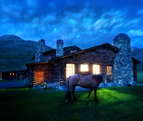 Dom, Montana, Cabin, Noc, Koń