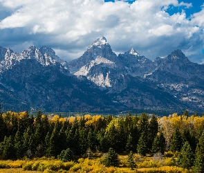 Utah, Chmury, Stany Zjednoczone, Góry, Drzewa, Park Narodowy Grand Teton, Jesień, Las