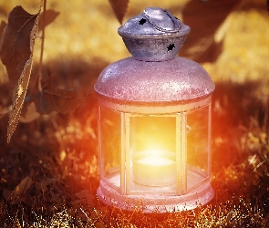 Światło, Liście, Lampion, Trawa