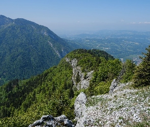 Las, Skały, Kamienie, Drzewa, Góry
