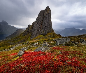 Morze, Roślinność, Wyspa Senja, Chmury, Skały, Norwegia, Szczyt Husfjellet