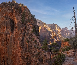 Drzewa, Skały, Stan Utah, Park Narodowy Zion, Stany Zjednoczone, Góry
