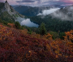 Jesień, Krzewy, Jezioro, Mgła, Drzewa, Góry, Las