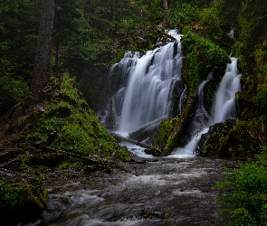 Stany Zjednoczone, Kamienie, Rzeka, Oregon, Drzewa, Las, Skała, Wodospad, Park Narodowy Jeziora Kraterowego, National Creek Falls