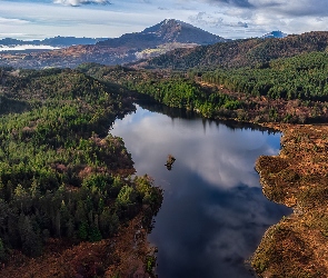 Walia, Llyn Bodgynydd, Wielka Brytania, Jezioro, Drzewa, Góry, Z lotu ptaka, Lasy