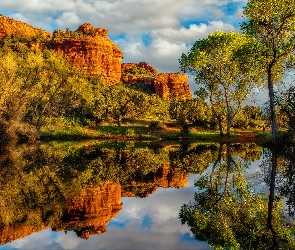 Skały, Drzewa, Cathedral Rock, Rzeka Oak Creek, Arizona, Odbicie, Stany Zjednoczone, Sedona