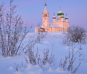 Cerkiew, Krzewy, Zima, Śnieg