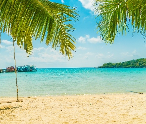 Morze, Plaża, Palmy, Huśtawka