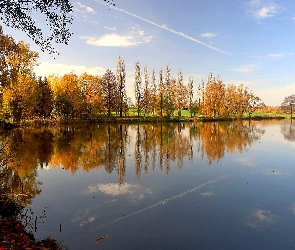 Jezioro, Niebo, Drzewa, Pożółkłe, Jesień