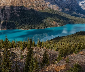 Park Narodowy Banff, Peyto Lake, Skały, Kanada, Jezioro, Góry, Drzewa