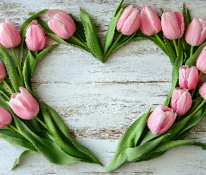 Deski, Serce, Różowe, Tulipany