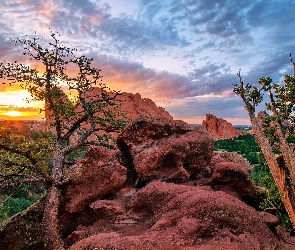Drzewa, Skały, Kolorado, Wschód słońca, Góry, Stany Zjednoczone, Garden of the Gods