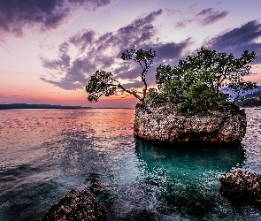Drzewa, Kamen Brela, Plaża, Chorwacja, Skała, Morze, Punta Rata