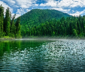 Góra, Zalesiona, Jezioro, Drzewa