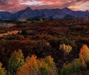 Jesień, Lasy, Kolorado, Stany Zjednoczone, Dallas Divide, Góry
