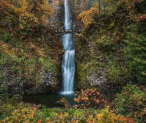 Multnomah Falls, Drzewa, Wodospad, Skały, Oregon, Most, Stany Zjednoczone, Hrabstwo Multnomah