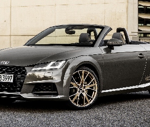 Audi TT Roadster Bronze
