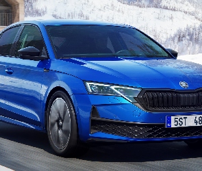 Skoda Octavia, Sport