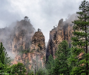 Mgła, Skały, Arizona, Drzewa, Oak Creek Canyon, Stany Zjednoczone, Wąwóz
