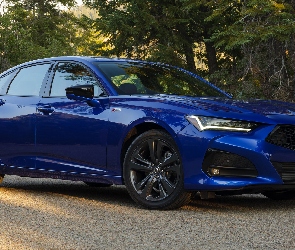 Niebieska, Acura TLX