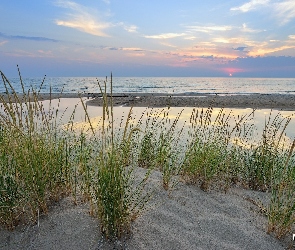 Trawy, Szuwary, Michigan, Piasek, Lake Michigan, Stany Zjednoczone, Jezioro