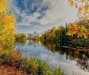 Jesień, Liście, Brzeg, Jezioro, Drzewa, Krzewy