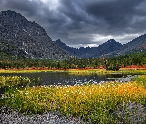 Kołyma, Jack London Lake, Rosja, Jezioro, Trawa, Góry, Chmury, Drzewa