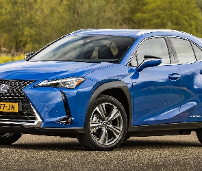 Lexus UX, Elektryczny