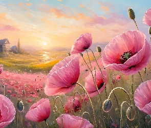 Grafika, Łąka, Różowe, Maki