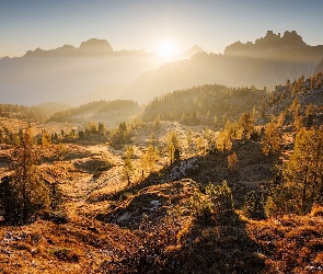 Drzewa, Roślinność, Dolomity, Góry, Włochy, Jesień