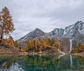 Góry, Żółte, Jesień, Lac Bleu, Modrzewie, Jezioro, Szwajcaria, Drzewa