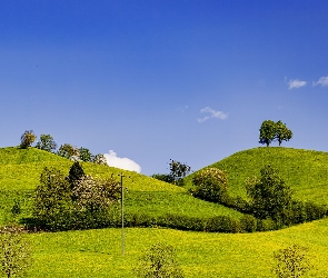 Łąka, Krajobraz, Pole, Wzgórza, Drzewa, Chmury