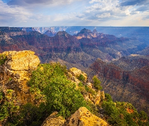 Skały, Arizona, Drzewa, Stany Zjednoczone, Chmury, Park Narodowy Wielkiego Kanionu, Góry, Kanion, Grand Canyon
