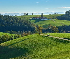 Łąki, Domy, Drogi, Pola, Drzewa, Wzgórza, Lasy