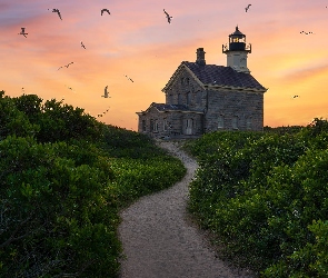 Stan Rhode Island, Latarnia morska, Stany Zjednoczone, Droga, Krzewy, Morze, Mewy, Block Island North Light